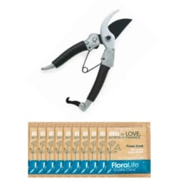 Pruning shears above packets of floral food