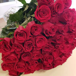 Three dosen roses