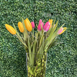 Yellow and pink tulips in a clear glass vase