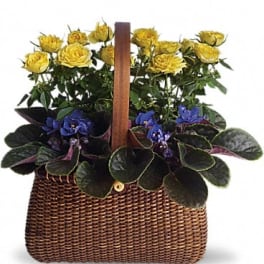 Yellow roses and purple violets in a woven basket