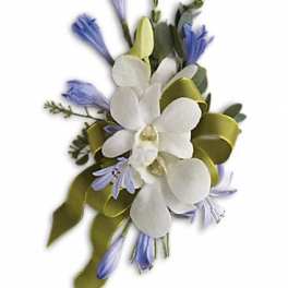 White orchid corsage with blue accents and green ribbon