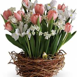 Pink tulips and white flowers arranged in a twig basket