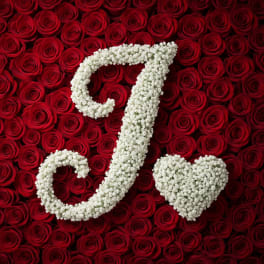 Baby's Breath Letter - J