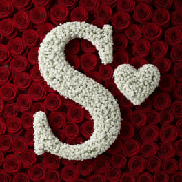Baby's Breath Letter - S