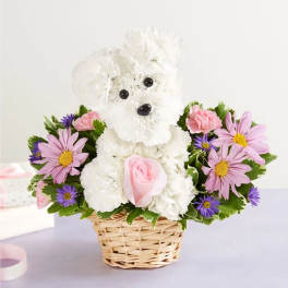 White flower teddy bear in a wicker basket with pink and purple daisies
