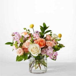 Mixed pink and peach roses in a clear glass vase
