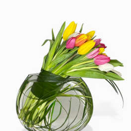 Tulip Garden Love