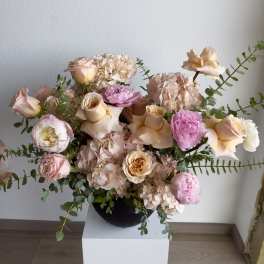 Shimmer Roses Radiance