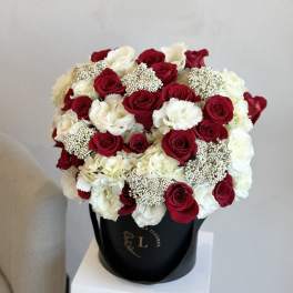 Red and White Radiance