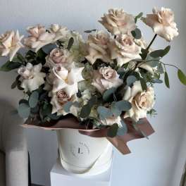 Hello Beautiful