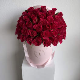 Hot Pink fuchsia roses