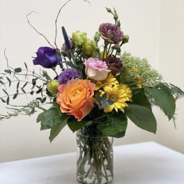Blooms of Color