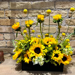 Yellow sunflowers and button mums arranged in a black rectangular container