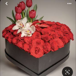 Heart black box.