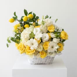 Almafi