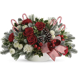 Low Christmas centerpiece with red roses, white mums, candy canes, pine cones and a striped bow in a white bowl