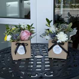 The Cottage Box