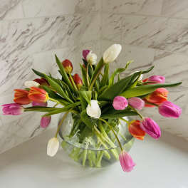 Tulips