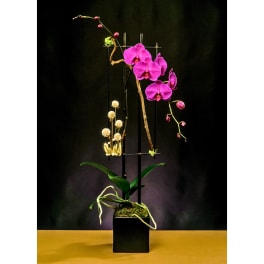 Tall orchid arrangement in a black square vase with magenta blooms