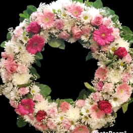 Sweet Circle of Live