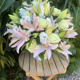 White Sympathy