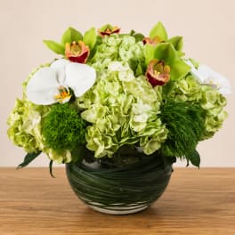 Green hydrangeas and orchids arranged in a glass bowl vase