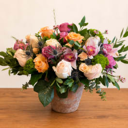 Mixed bouquet of roses and orchids in a terracotta pot
