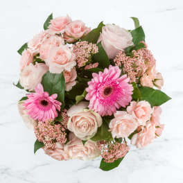 Round bouquet of pale pink roses and spray roses with bright pink gerbera daisies
