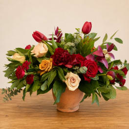 Mixed red and cream roses in a terracotta vase