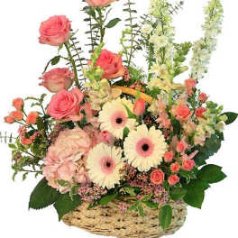 Blushing Sweetness