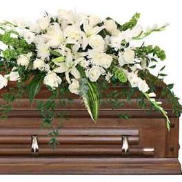 Hushed Goodbye