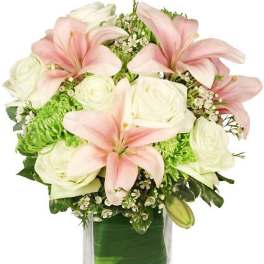 Heavenly Garden Blooms