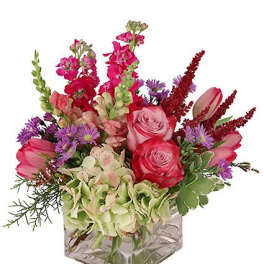 Lively & Luscious