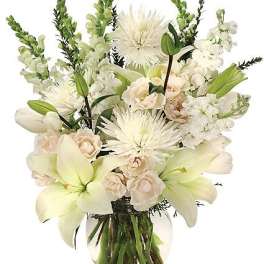 Heavenly Aura