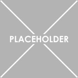 Gray placeholder image with an X across it