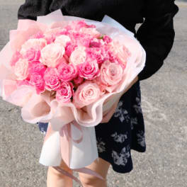 Sweet Blooming Roses