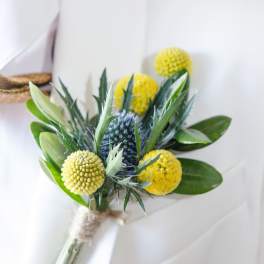 Thistle & Gold Bout