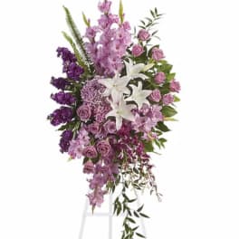GARDEN SPRAY