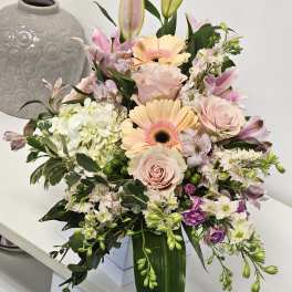 Delicate Arrangement