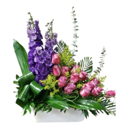 Mystical Beauty