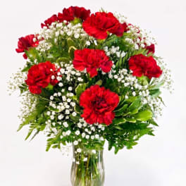 Red carnations with white baby's breath in a clear glass vase