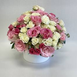 Round arrangement of pink and white roses in a low white hatbox-style container
