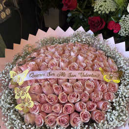 100 Pink Rose Buchon With Babys Breath Rim