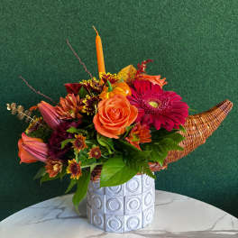 Thanksgiving Cornucopia Red Gerbera