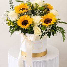 Sunflower and white rose arrangement in a white hatbox with a ribbon