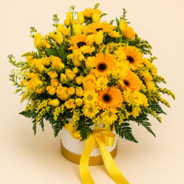 Yellow bouquet with roses, tulips, and daisies in a white hat box with ribbon