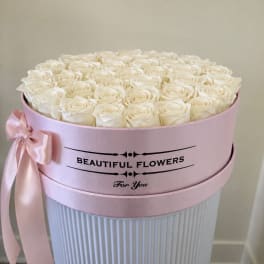 Round box of white roses with a pink ribbon bow