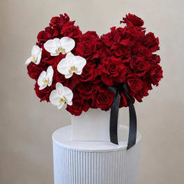 Red rose arrangement with white orchids in a white box and black ribbon