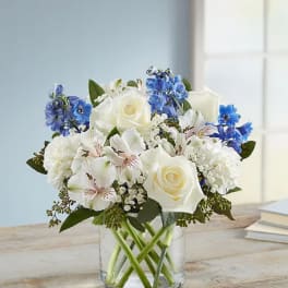 Hint of Blue ( 1800 Flowers )