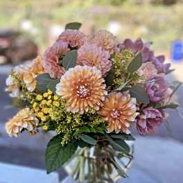 PLUM DAHLIA